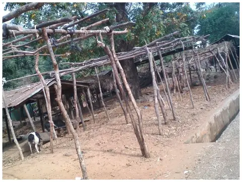 Part of a rural market